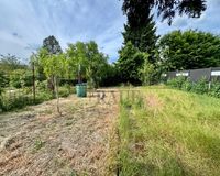 Blick in den Garten